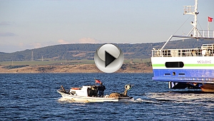 Feribotun Çarptığı Balıkçı Teknesi Battı