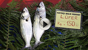 Lüferde tehlike çanları