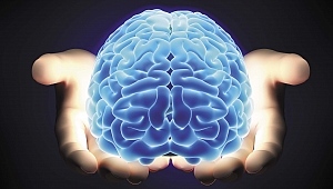 Beyniniz Nasıl Çalışır? Efsaneler ve Gerçekler...