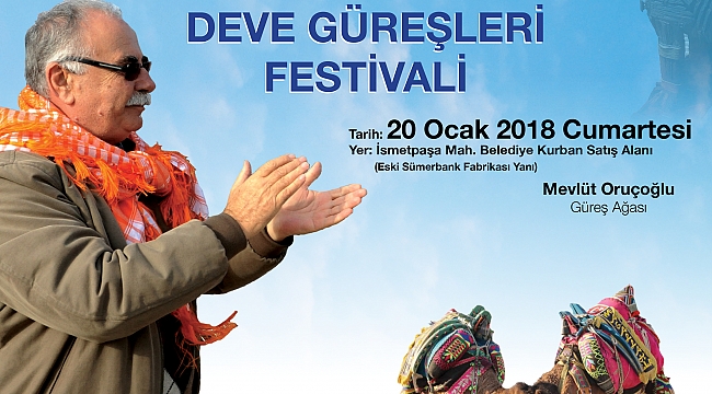 Deve Güreşi Festivali 20 Ocak'ta Gerçekleştirilecek