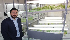 Doku kültürüyle firmaların kayıpları azalacak