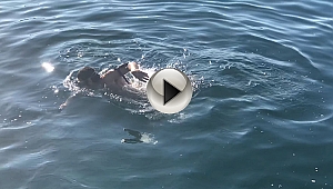 Yılın İlk Gününde Deniz Keyfi