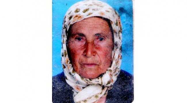 Zeytin toplarken sırra kadem basan annesini 70 gündür arıyor