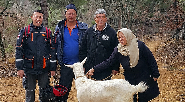 Ayvac​ık'ta Keçi Kurtarma Operasyonu
