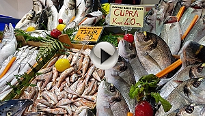 Balık Fiyatları El Yakıyor