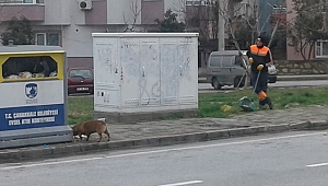 Belediye Personelinin Duyarlı Davranışı Sosyal Medyada Büyük Beğeni Aldı…