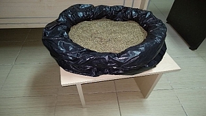 Çanakkale'de feribotta uyuşturucu operasyonu