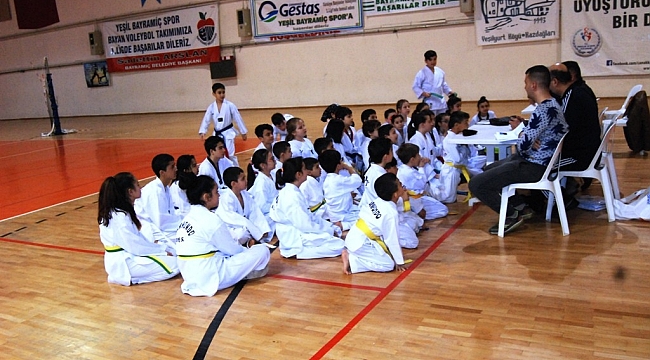  Çanakkale'de Taekwondocular Ter Döktü