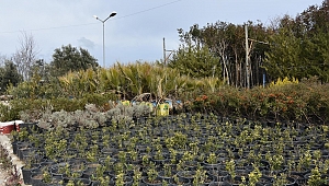 Daha Yeşil Bir Kent İçin Üretiyoruz