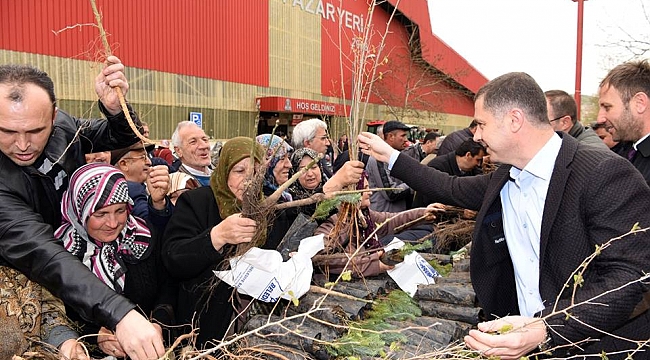 Başkan Kuzu; "Fidanlar Bizden, Meyveler Sizden"