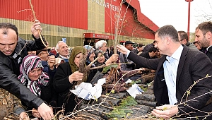 Başkan Kuzu; "Fidanlar Bizden, Meyveler Sizden"