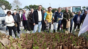 Biga'da ücretsiz 7 bin adet fidan dağıtıldı