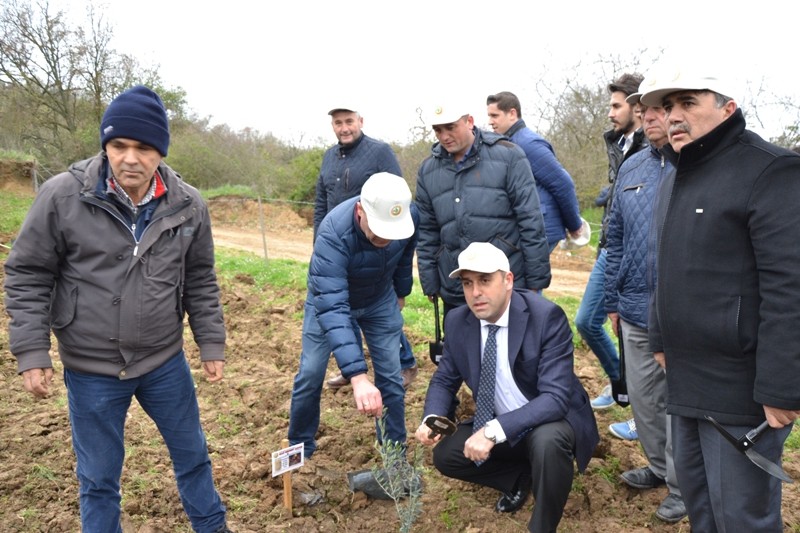 Bigalı Mehmet Çavuş Ağaçlandırma Projesi