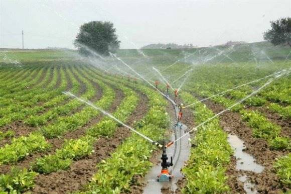 DSİ Genel Müdürü Acu;'Sulamada hedef 5 yıldızlı projeler
