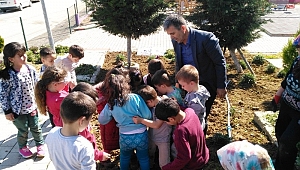 Minik eller fidan dikti