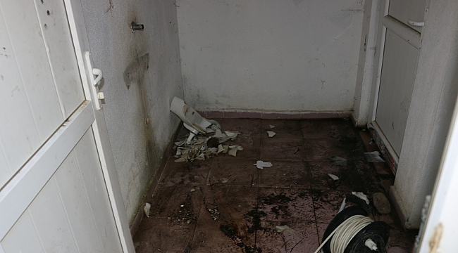 Piknik Alanında Vicdanları Yaralayan İnsanlık Vahşeti