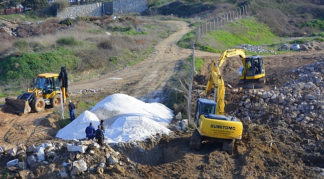 Sarp Deresi, Botanik Parkı İçin Islah Ediliyor