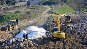 Sarp Deresi, Botanik Parkı İçin Islah Ediliyor