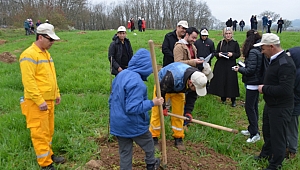 Yenice'de Öğrenciler Fidan Dikti