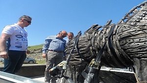 '2018 Troya Yılı'nda, Troya atıyla rekor denemesi