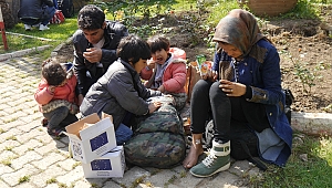 Balıkçı kamyonetinde 51 mülteci yakalandı