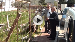 Başkan Gökhan Barbaros Mahalle Sakinleri İle Buluştu