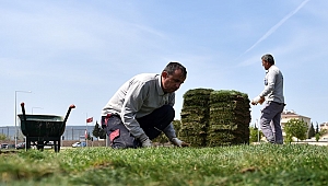Bölge Trafik Kavşağında Çimlendirme Çalışmaları Yapılıyor