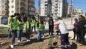 Çanakkale Belediyesi Ve LÖSEV'Den Fidan Dikimi Etkinliği