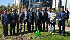 Güney Kore Heyeti ÇOMÜ'deydi