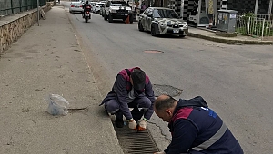 Haşerelere Karşı Önlem Amaçlı İlaçlama Çalışmaları Sürüyor