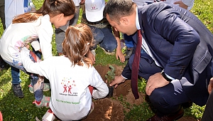 Lapseki'de Fidan Dikimi