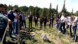 Öğrenciler Fidan Dikti