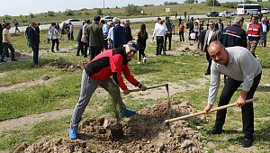 15 Temmuz ve Afrin Şehitleri Anısına Fidanlar Toprakla Buluştu