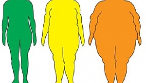 Avrupa Obezite günü