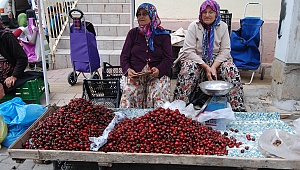 Çanakkale'de kiraz üreticisi endişeli
