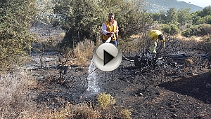 Çanakkale'de makilik yangını