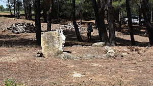 Çanakkale Savaşları'nın mezar yeri belli olan tek şehit doktoru
