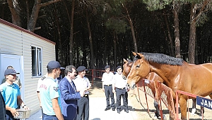 Vali Tavlı, Kabatepe Jandarma Karakolunu inceledi
