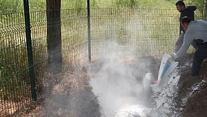 Yaşamını Yitiren At Can Dostlar Mezarlığına Defnedildi