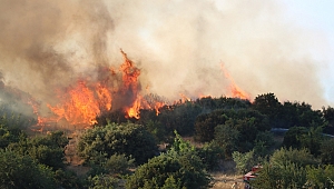 AFAD Orman Yangınlarına Dikkat Çekti