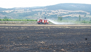 Bayramiç'te tarla yangını korkuttu