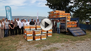 Çanakkale'de Arılı Kovan Desteği