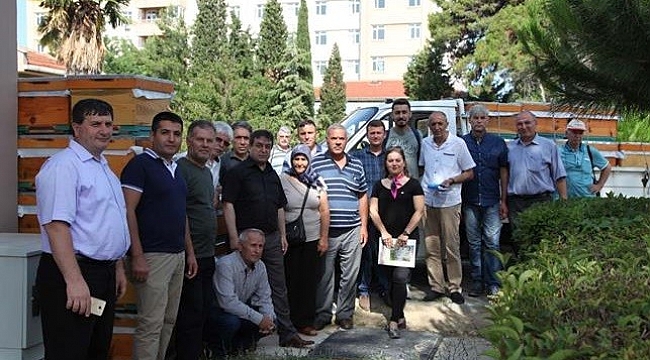 Çanakkale'de üreticilere arılı kovan dağıtımına başlandı