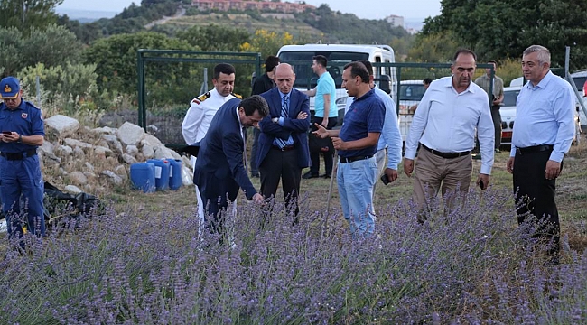İntepe Köyünde Lavanta Tarlası