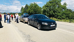 Kazaya neden olan yavru köpek araç altından sağ çıktı