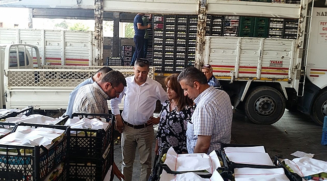 Bayramiç Beyazı, Yurt Dışına Açılıyor