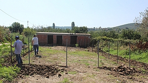 Çardak'ta Hayvan Barınağı İnşa Ediliyor