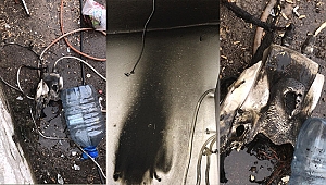 Evin Çatısına Yıldırım Düştü