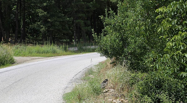 İl Özel İdaresinin Evciler Köyü-Ayazma Asfalt Yol Çalışmaları Tamamlandı