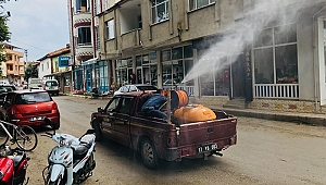 Kalkım Belediyesi Sivri Sineklere Savaş Açtı